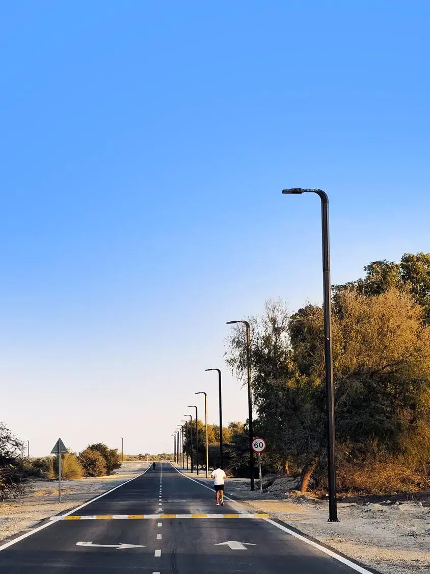 Vertical Solar Street Light-Dubai-project-02